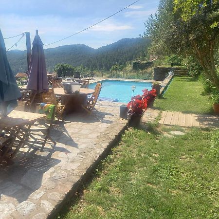 Le Mercou En Cevennes Saint-Martin-de-Boubaux Exteriér fotografie