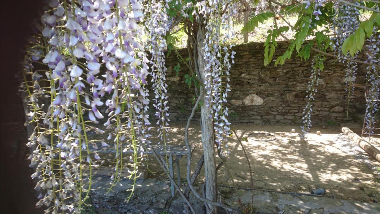 Le Mercou En Cevennes Saint-Martin-de-Boubaux Exteriér fotografie