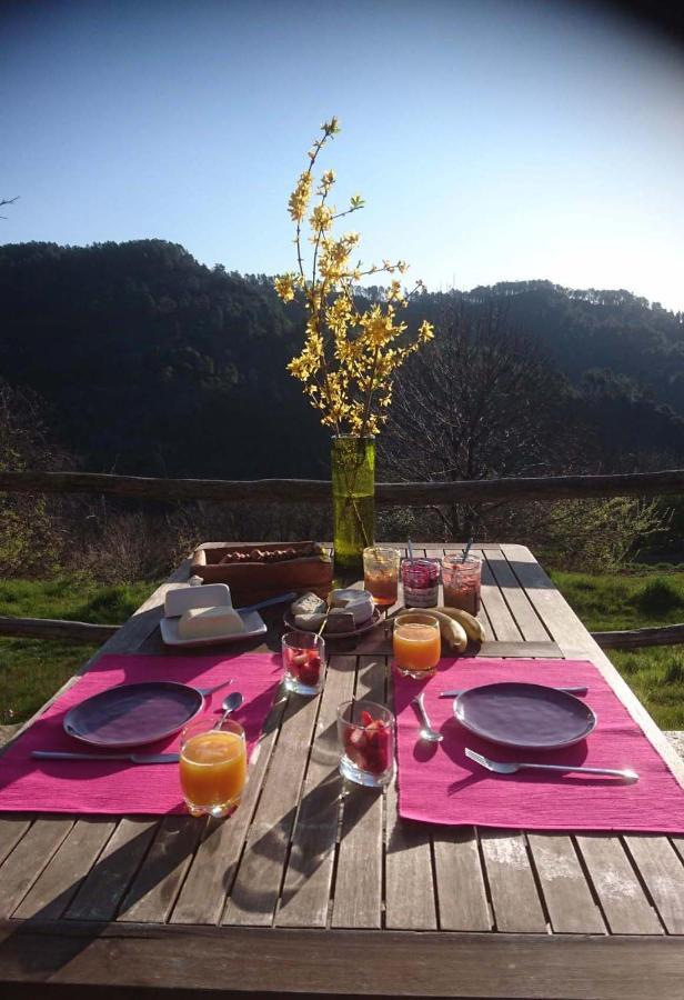 Le Mercou En Cevennes Saint-Martin-de-Boubaux Exteriér fotografie