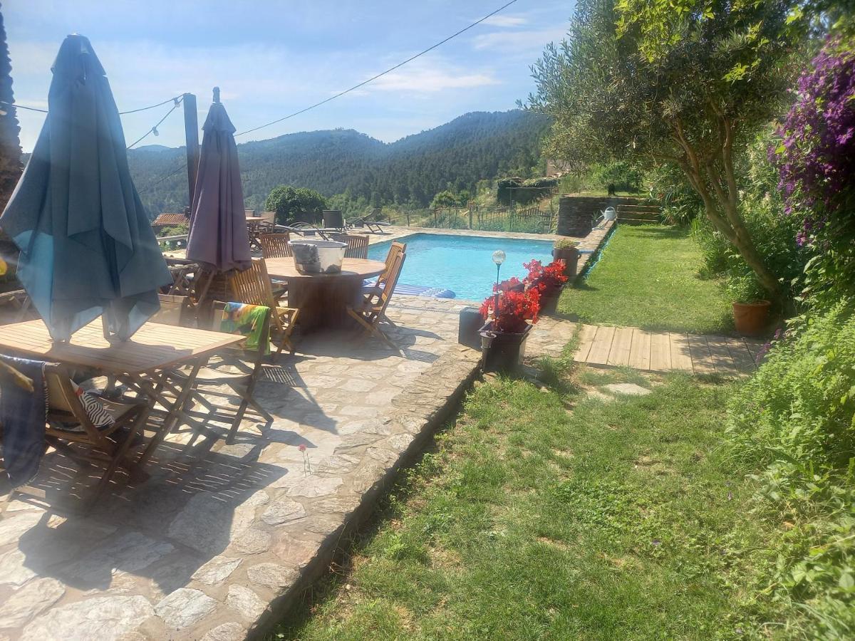Le Mercou En Cevennes Saint-Martin-de-Boubaux Exteriér fotografie